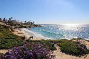 Which California City Should You Move to in 2024? 