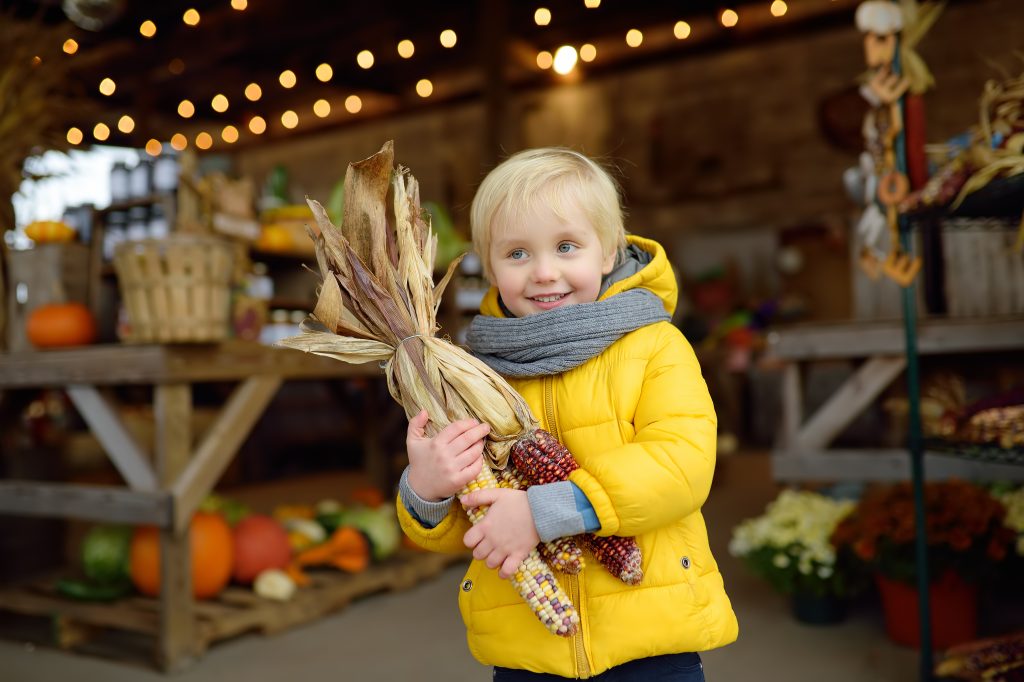 Young boy holding ears of corn at an outdoor fall market.