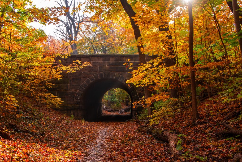 A stone bridge over a walking trail in Jonestown in autumn.